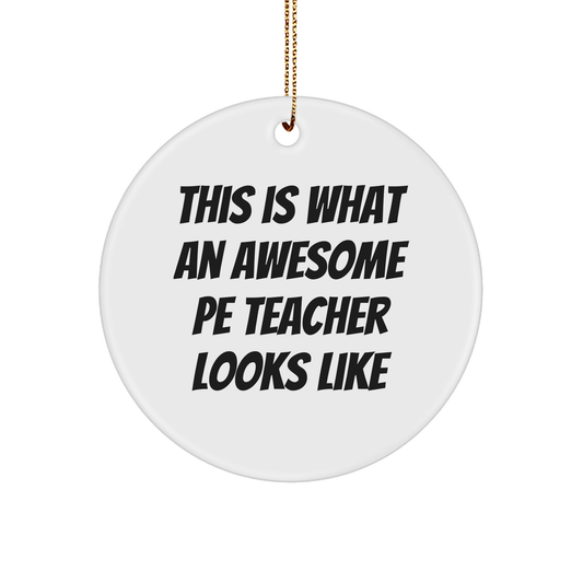 Funny PE Teacher Gifts, This Is What An Awesome PE Teacher Looks Like, Circle Ornament for Men, Women, Friends, Coworkers, Family, Christmas Unique Gifts from - Victory Thru Vision 