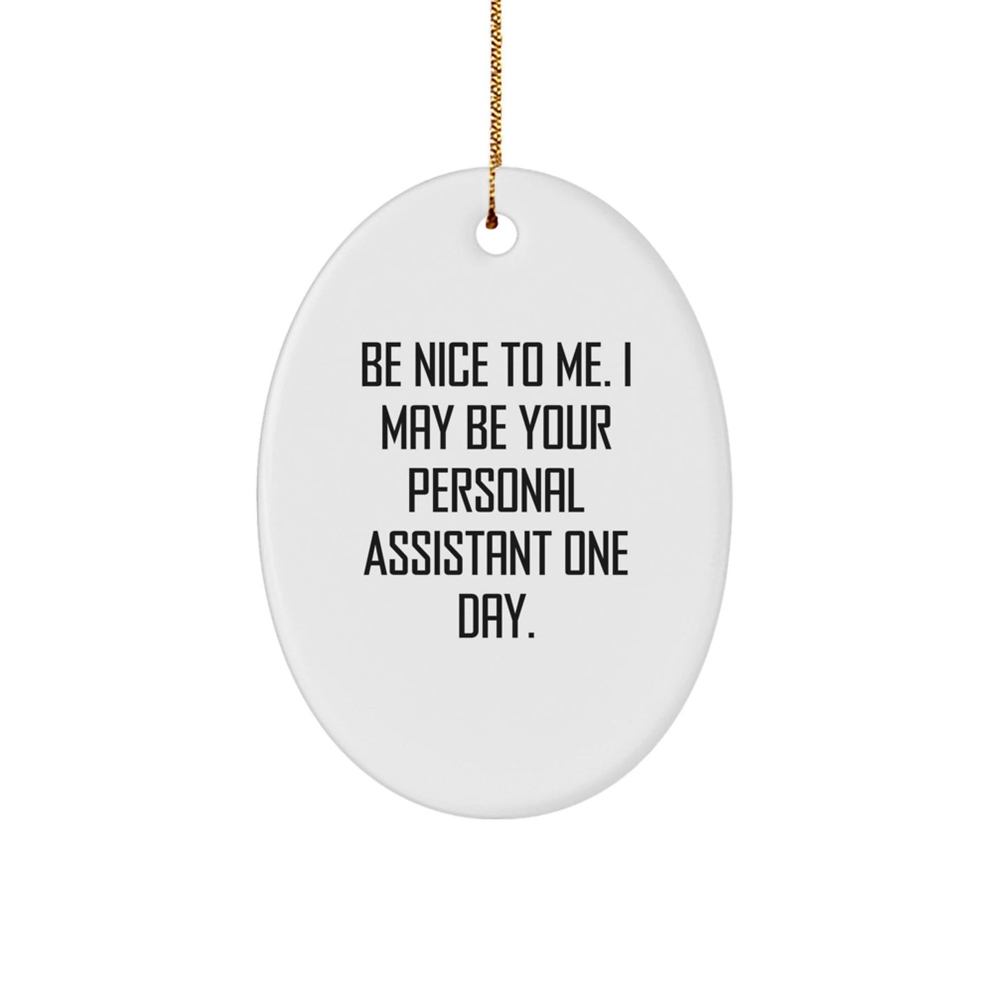 Funny Personal Assistant Gifts for Men or Women, Oval Ornament with 'Be Nice To Me' Quote, Gifts from Family, Friends, or Coworkers for Christmas - Victory Thru Vision