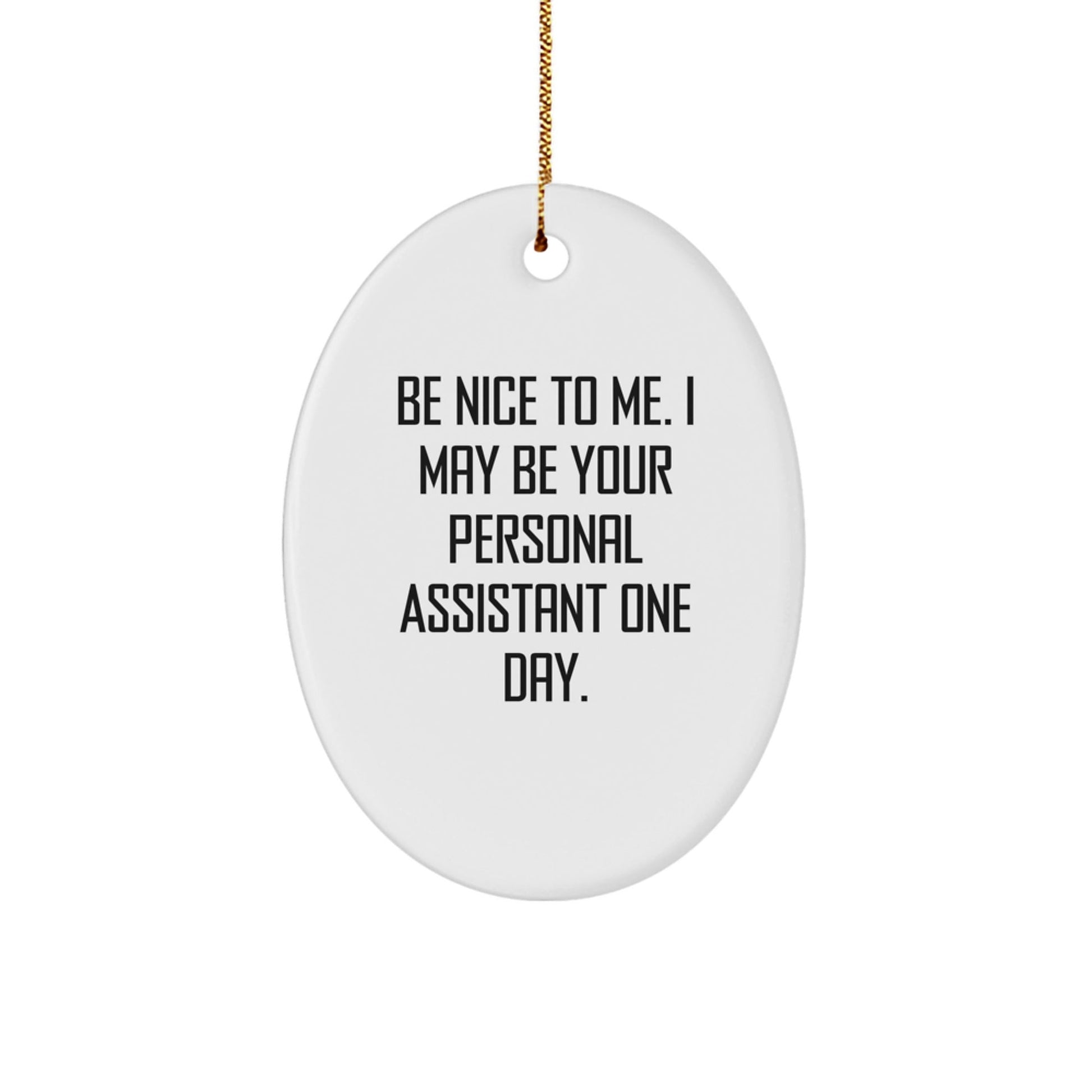 Funny Personal Assistant Gifts for Men or Women, Oval Ornament with 'Be Nice To Me' Quote, Gifts from Family, Friends, or Coworkers for Christmas - Victory Thru Vision