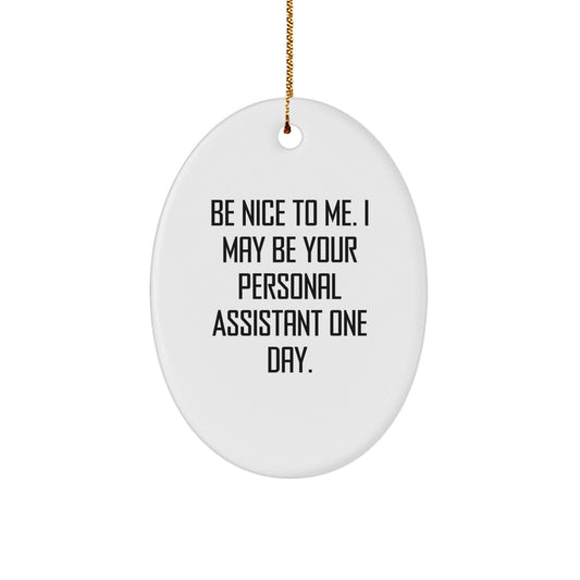 Funny Personal Assistant Gifts for Men or Women, Oval Ornament with 'Be Nice To Me' Quote, Gifts from Family, Friends, or Coworkers for Christmas - Victory Thru Vision