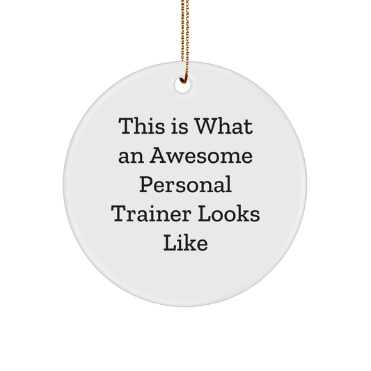 Funny Personal Trainer Gifts for Men - This Is What An Awesome Personal Trainer Looks Like, Circle Ornament, Christmas Unique Gifts from Friends to Family - Victory Thru Vision