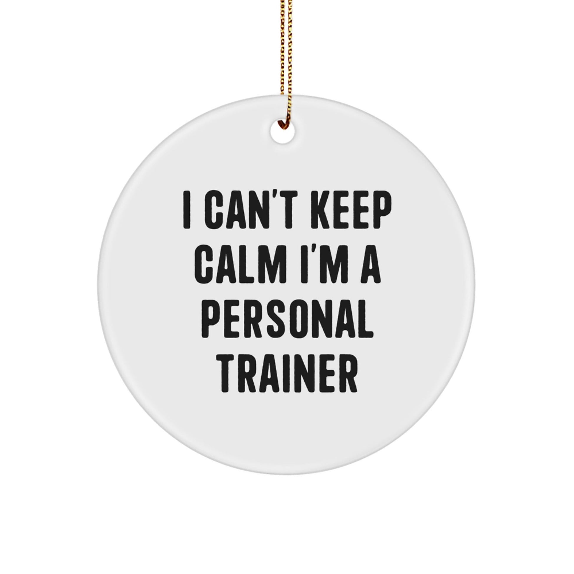 Funny Personal Trainer Gifts from Friends for Christmas - 'I Can't Keep Calm I'm A Personal Trainer' Circle Ornament, MDF with High - Gloss Finish, 2.75" Tall - Victory Thru Vision