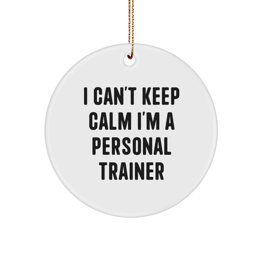 Funny Personal Trainer Gifts from Friends for Christmas - 'I Can't Keep Calm I'm A Personal Trainer' Circle Ornament, MDF with High - Gloss Finish, 2.75" Tall - Victory Thru Vision