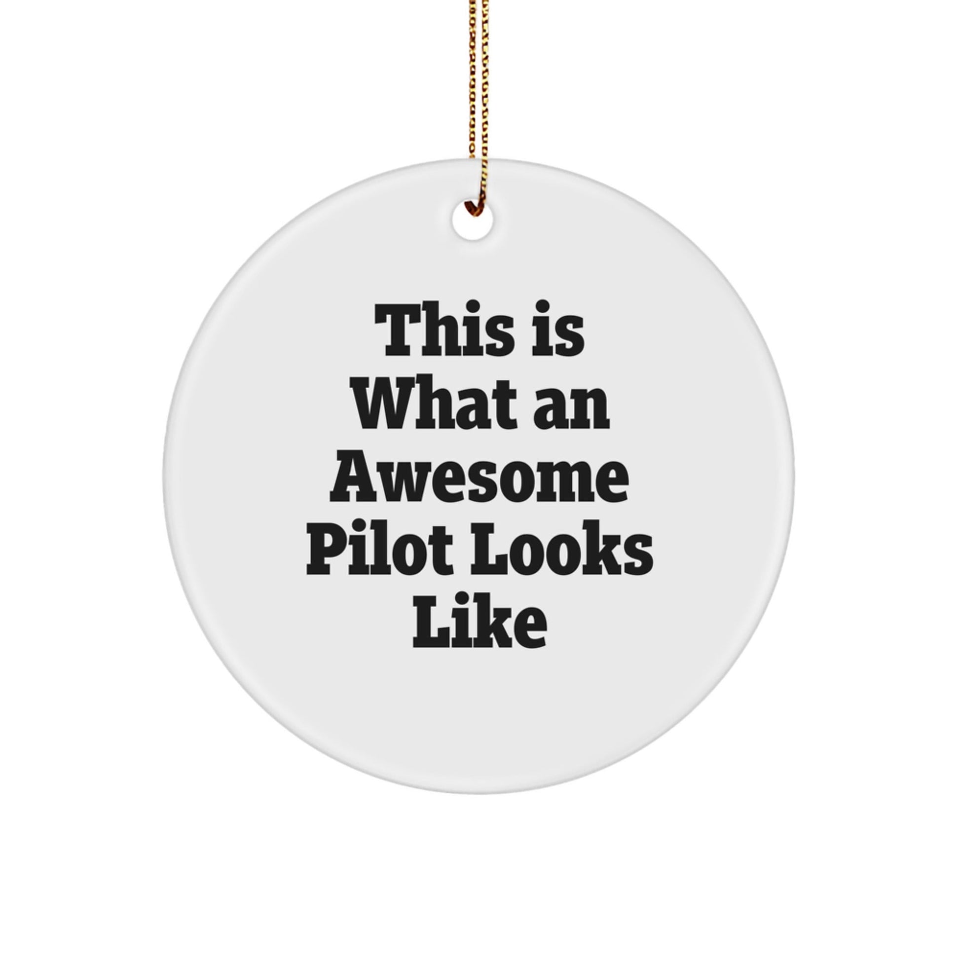 Funny Pilot Gifts from Friends for Awesome Pilots - This Is What An Awesome Pilot Looks Like Christmas Circle Ornament - Victory Thru Vision