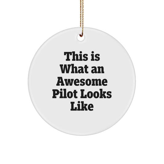 Funny Pilot Gifts from Friends for Awesome Pilots - This Is What An Awesome Pilot Looks Like Christmas Circle Ornament - Victory Thru Vision