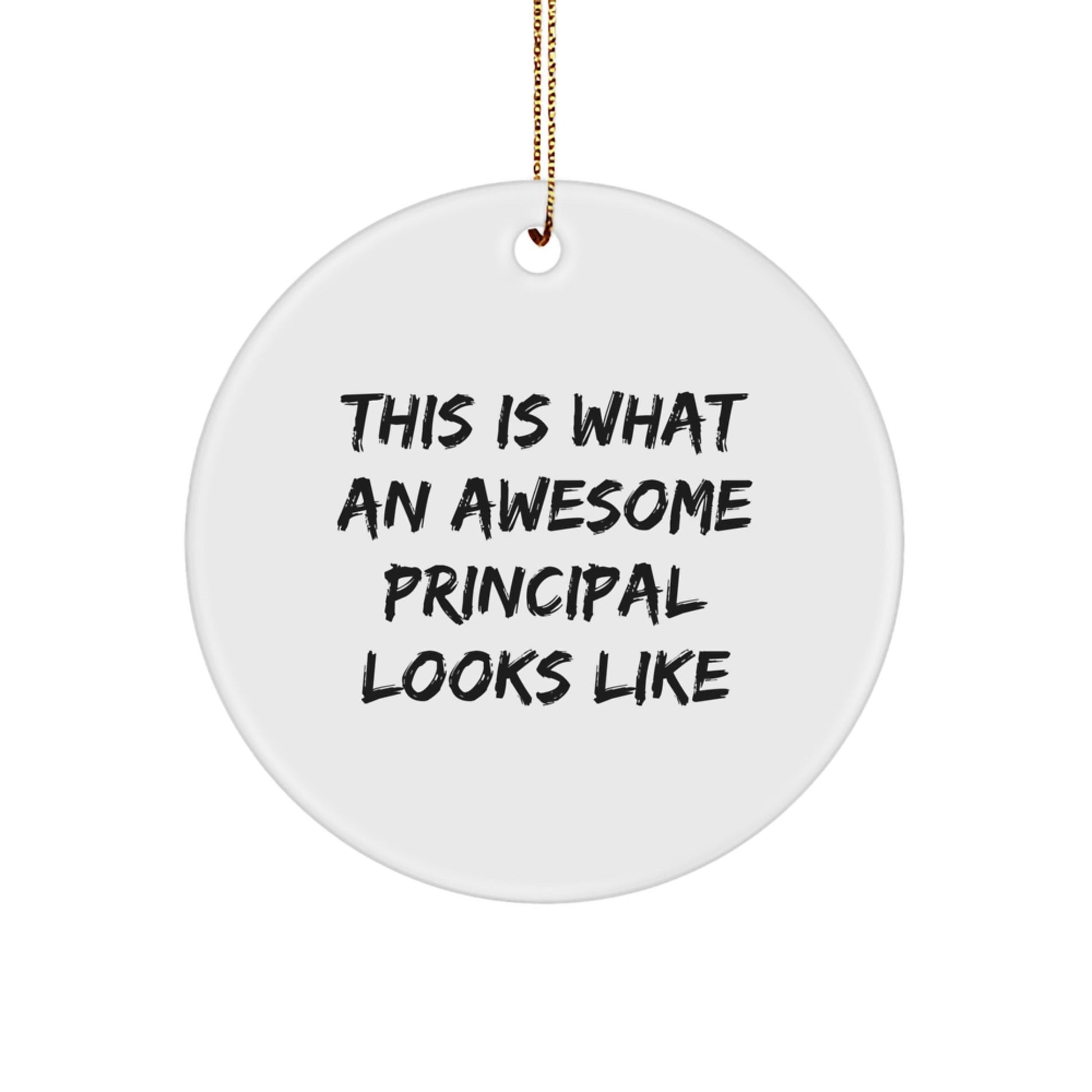 Funny Principal Circle Ornament Gifts from Friends to Awesome Principals, This Is What An Awesome Principal Looks Like, Christmas Unique Gifts - Victory Thru Vision