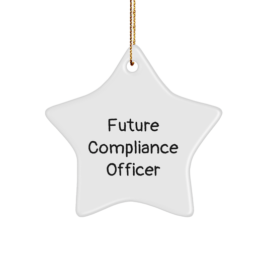 Funny Quote Compliance Officer Gifts from Friends - Star Ornament for Christmas, 'May the Future be Bright' - Unique Gift for Compliance Officer - Victory Thru Vision