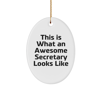 Funny Secretary Gifts from Friends and Family - This Is What An Awesome Secretary Looks Like Oval Ornament, White, Christmas Decoration - Victory Thru Vision 