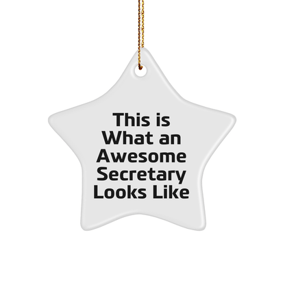 Funny Secretary Gifts from Friends, Christmas Unique Star Ornaments for Awesome Secretary 'This Is What An Awesome Secretary Looks Like' - Victory Thru Vision 