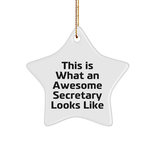 Funny Secretary Gifts from Friends, Christmas Unique Star Ornaments for Awesome Secretary 'This Is What An Awesome Secretary Looks Like' - Victory Thru Vision 