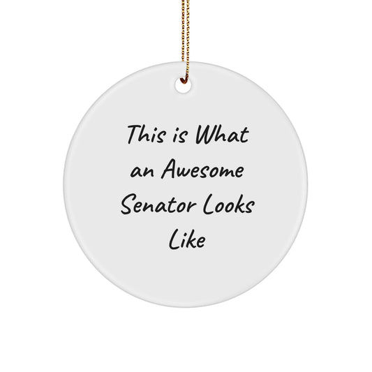 Funny Senator Gifts from Friends to Family - 'This Is What An Awesome Senator Looks Like' Circle Ornament for Christmas - Victory Thru Vision
