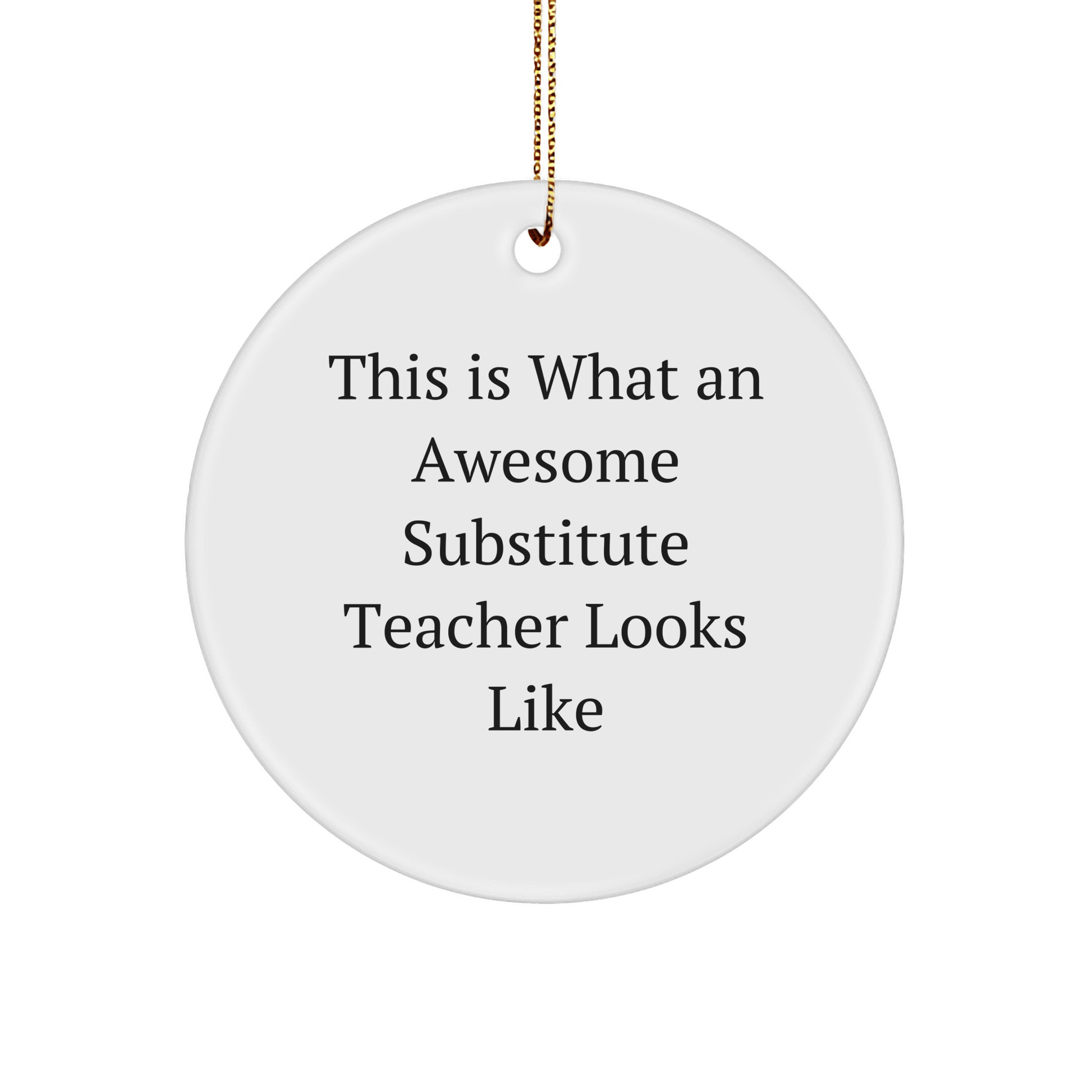 Funny Substitute Teacher Gifts from Friends, Circle Ornament for Christmas, 'This Is What An Awesome Substitute Teacher Looks Like' - Victory Thru Vision