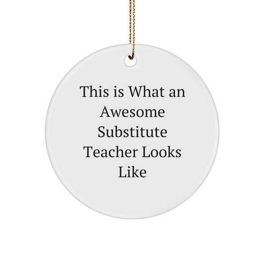 Funny Substitute Teacher Gifts from Friends, Circle Ornament for Christmas, 'This Is What An Awesome Substitute Teacher Looks Like' - Victory Thru Vision 