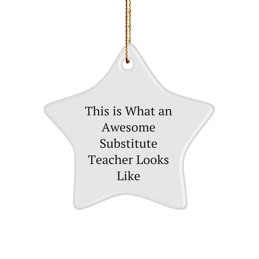 Funny Substitute Teacher Gifts from Friends - This Is What An Awesome Star Ornament Looks Like, White, 3.25" tall, Christmas Unique Gifts for Substitute Teacher - Victory Thru Vision 