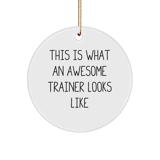 Funny Trainer Gifts from Friends, Christmas Unique Circle Ornaments with Quote 'This Is What An Awesome Trainer Looks Like' for Men, Women, Family - Victory Thru Vision