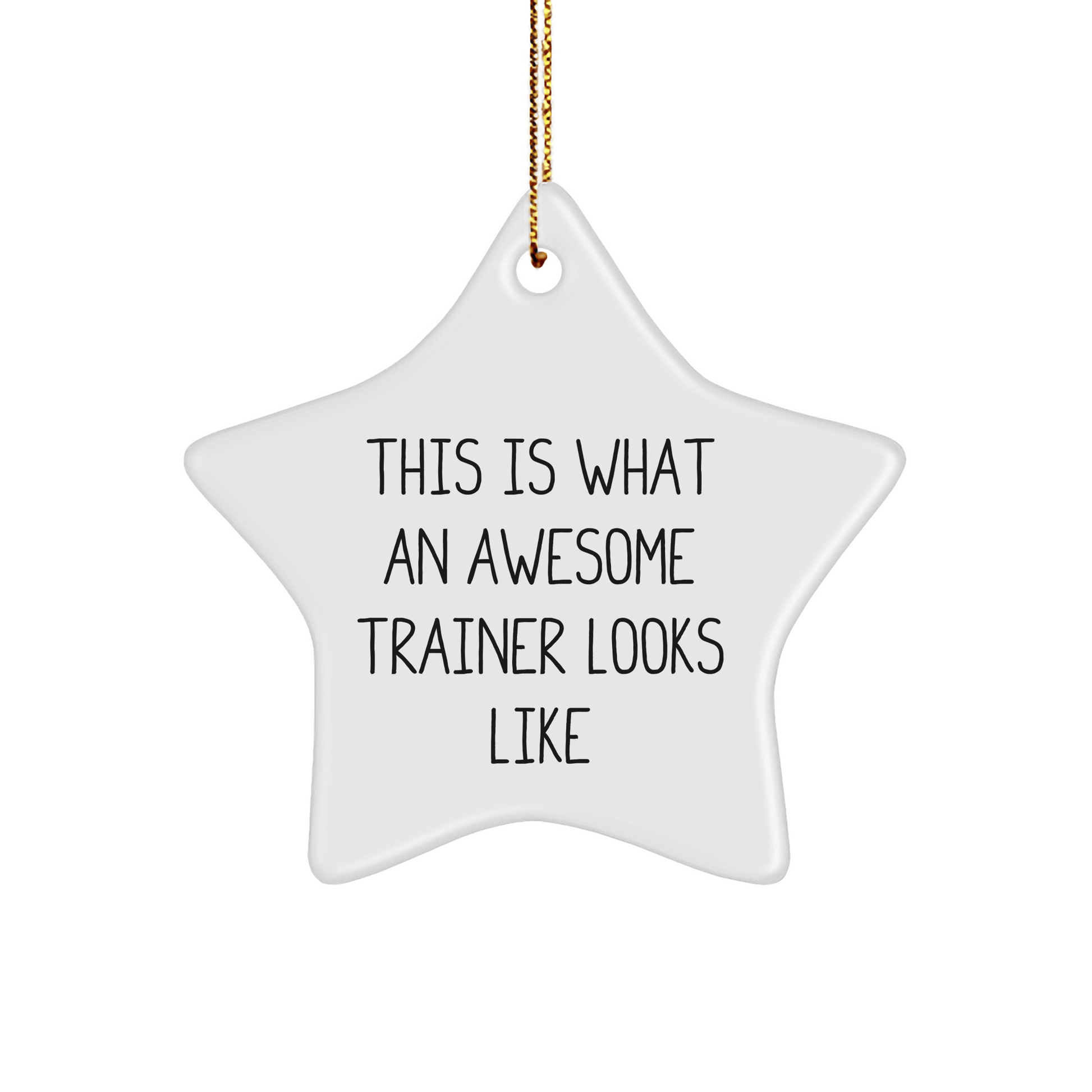 Funny Trainer Gifts from Men for Christmas - This Is What An Awesome Trainer Looks Like Star Ornament, Gifts for Trainers - Victory Thru Vision 