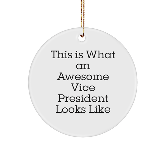 Funny Vice President Gifts for Men - Circle Ornament with Inspirational Quote - Gifts from Friends - 'This Is What An Awesome Vice President Looks Like' - Christmas Unique Gifts - Victory Thru Vision 