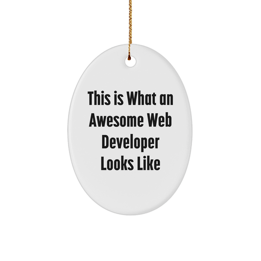 Funny Web Developer Gifts from Friends for Web Developer, Oval Ornament with Quote 'This Is What An Awesome Web Developer Looks Like', White Christmas Unique Gifts - Victory Thru Vision