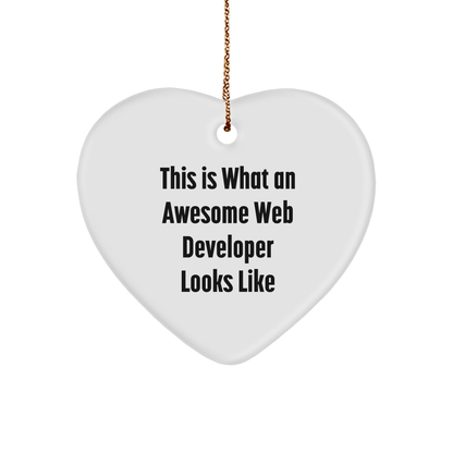 Funny Web Developer Gifts from Men, Heart Ornament for Awesome Web Developers, Christmas Unique Gifts for Friends - Victory Thru Vision 