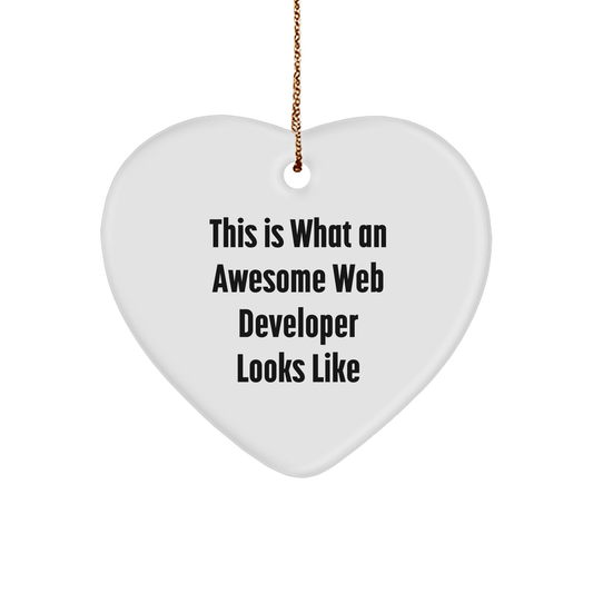 Funny Web Developer Gifts from Men, Heart Ornament for Awesome Web Developers, Christmas Unique Gifts for Friends - Victory Thru Vision 