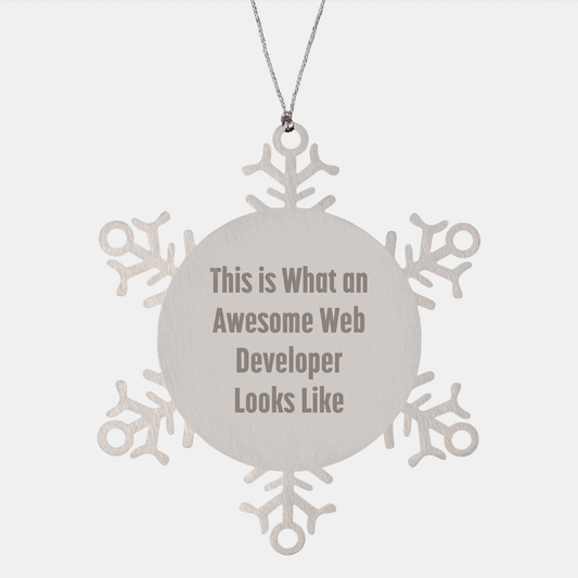 Funny Web Developer Snowflake Ornament Gifts from Friends to Web Developers, Christmas Unique Presents for Men, Inspirational Motivational Quote - Victory Thru Vision 