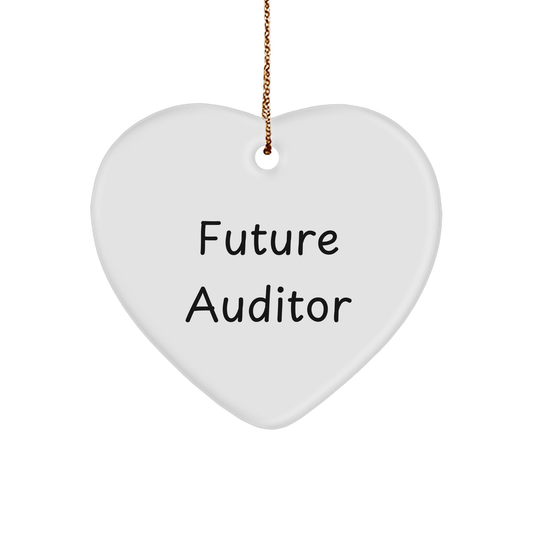 Future Auditor Gifts, Funny Heart Ornament, Auditor Quote, Christmas Unique Gifts from Friends, Gifts for Future Auditor Men - Victory Thru Vision