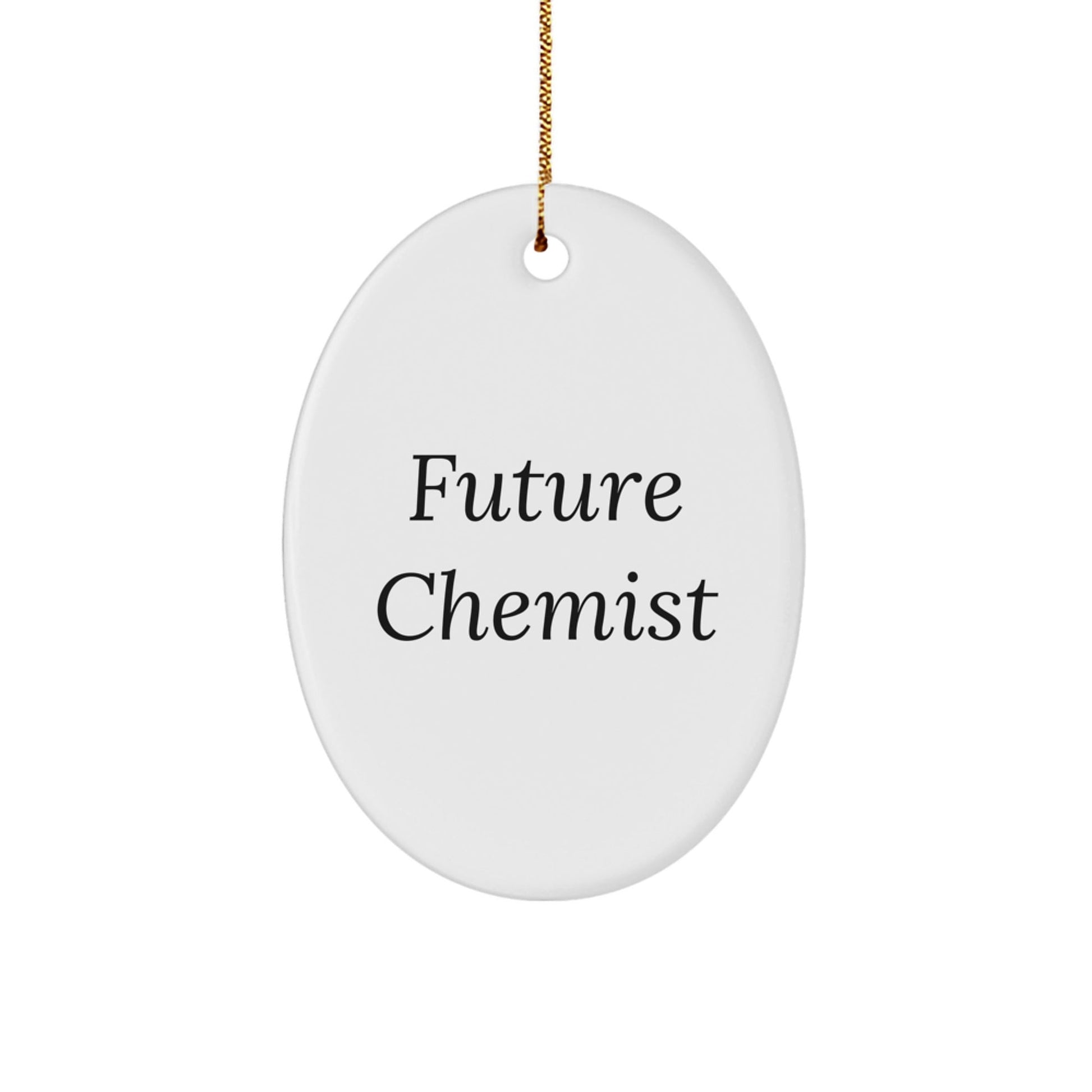 Future Chemist Christmas Unique Gifts from Friends - Funny Oval Ornament Quote, Gifts for Chemist, Men, Women, Family - Victory Thru Vision