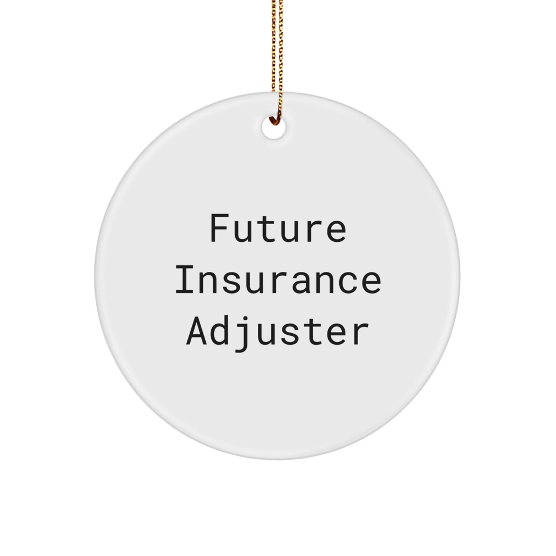 Future Insurance Adjuster Gifts from Friends, Family or Coworkers - Funny Quote Circle Ornament for Insurance Adjuster Christmas Unique Gifts - Victory Thru Vision