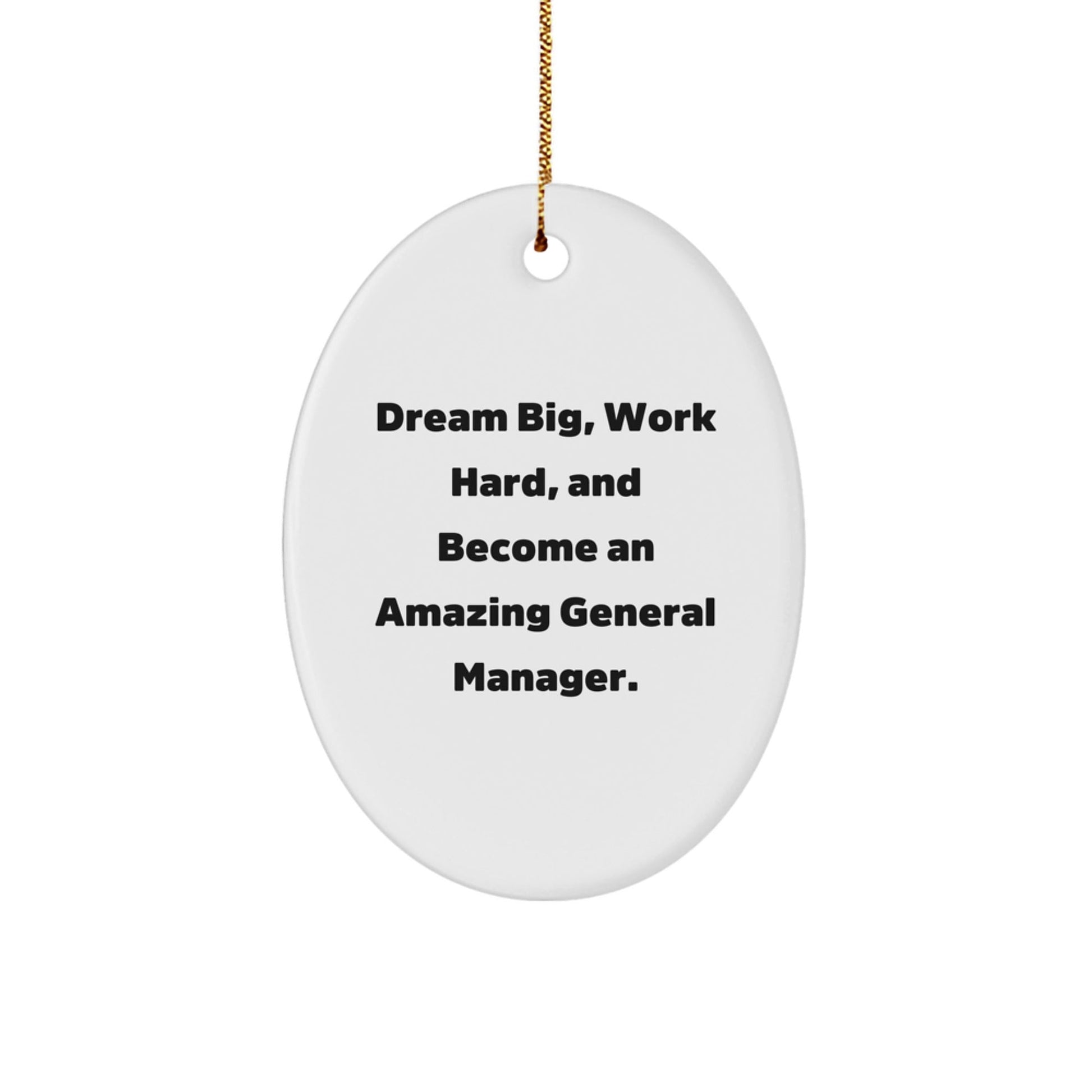 General Manager Gifts, Dream Big, Work Hard, Oval Ornament, Christmas Unique Gifts from Friends to General Manager - Victory Thru Vision