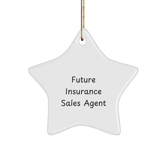 Gifts from Coworkers to Future Insurance Sales Agent, 'You're a Star!' Star Ornament for Christmas - Victory Thru Vision