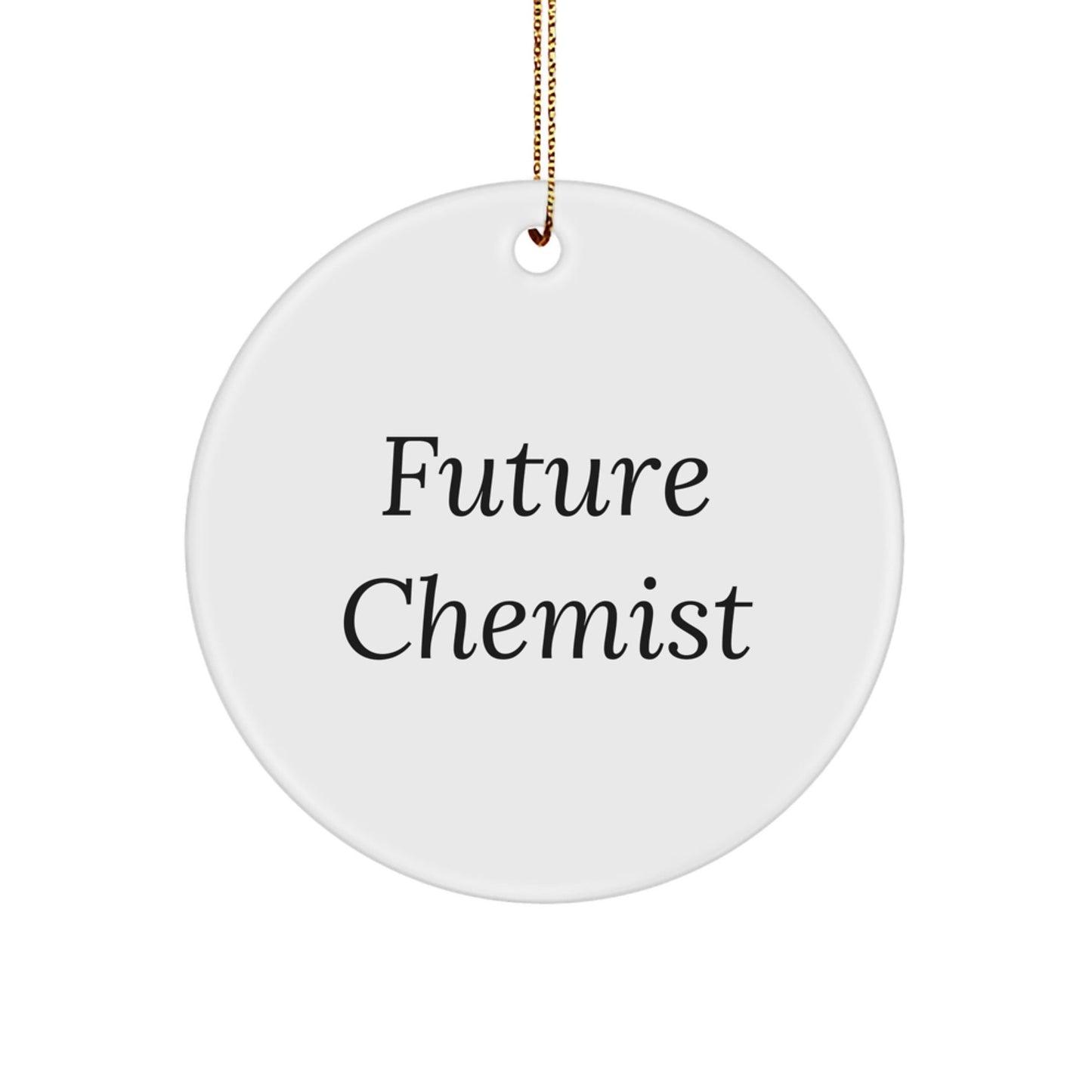 Gifts from Family for Future Chemist, Inspirational Circle Ornament, Christmas Unique Gifts, Chemist Gifts, Funny Quote - Victory Thru Vision