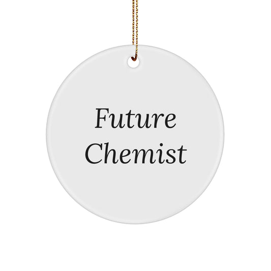 Gifts from Family for Future Chemist, Inspirational Circle Ornament, Christmas Unique Gifts, Chemist Gifts, Funny Quote - Victory Thru Vision