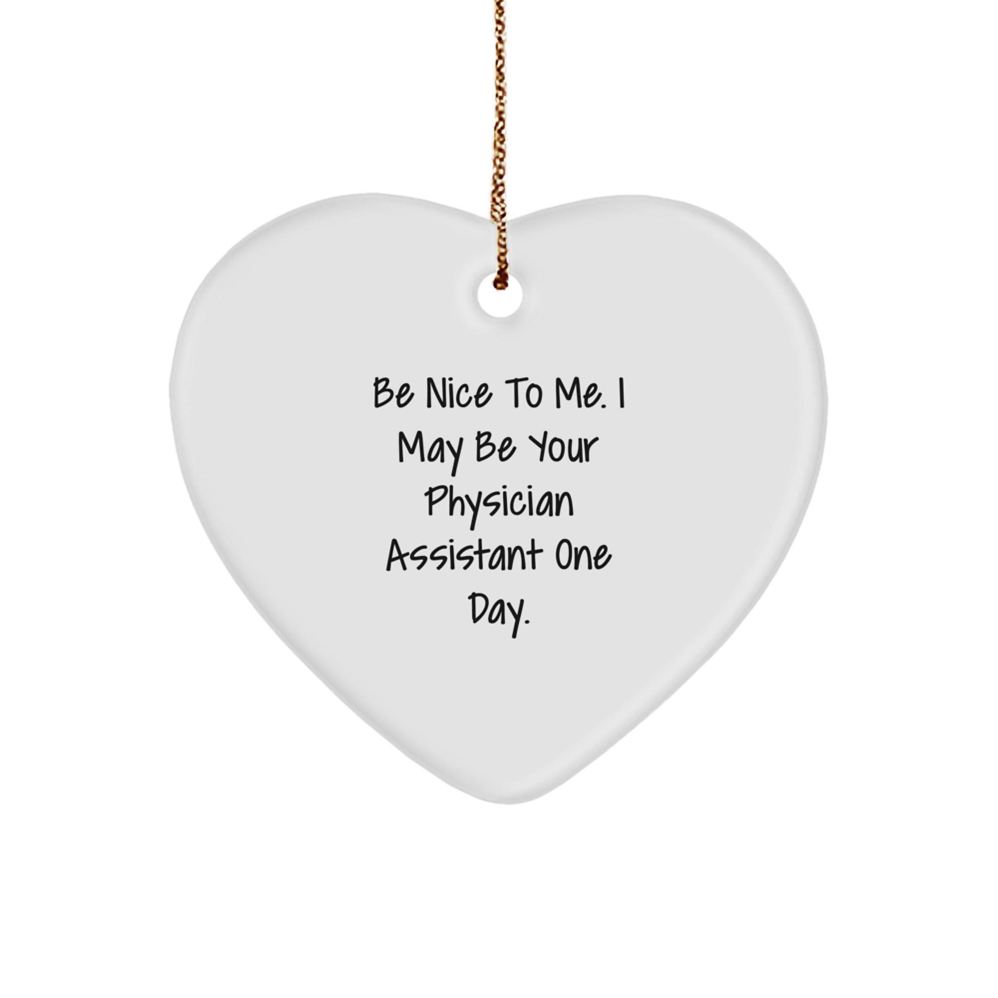 Gifts from Family - Physician Assistant Funny Heart Ornament, 'Be Nice To Me. I May Be Your Physician Assistant One Day.' Christmas Unique Gift for Physician Assistant - Victory Thru Vision