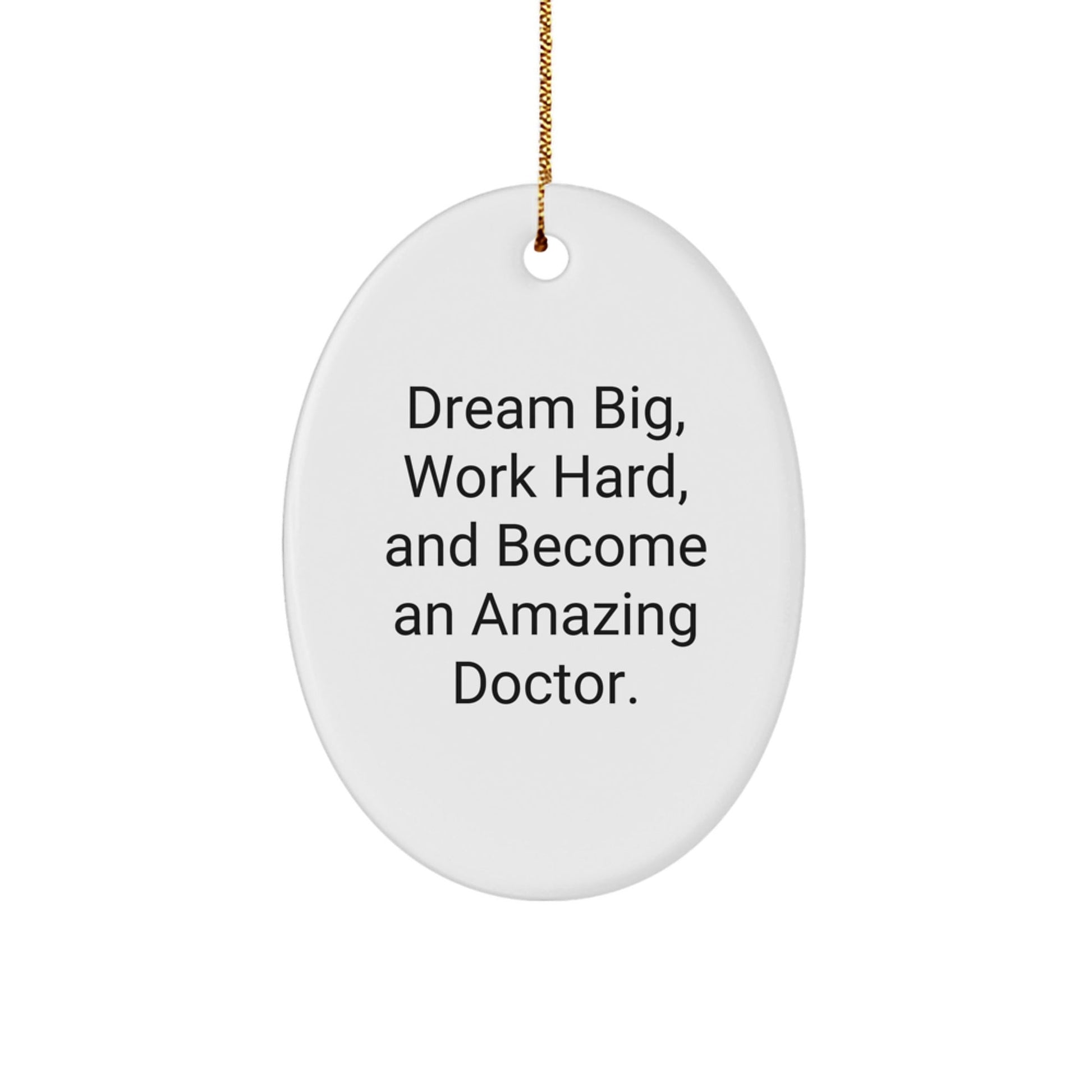 Gifts from Family to Doctor - Oval Ornament Dream Big Work Hard - Christmas Memorable Present - Victory Thru Vision