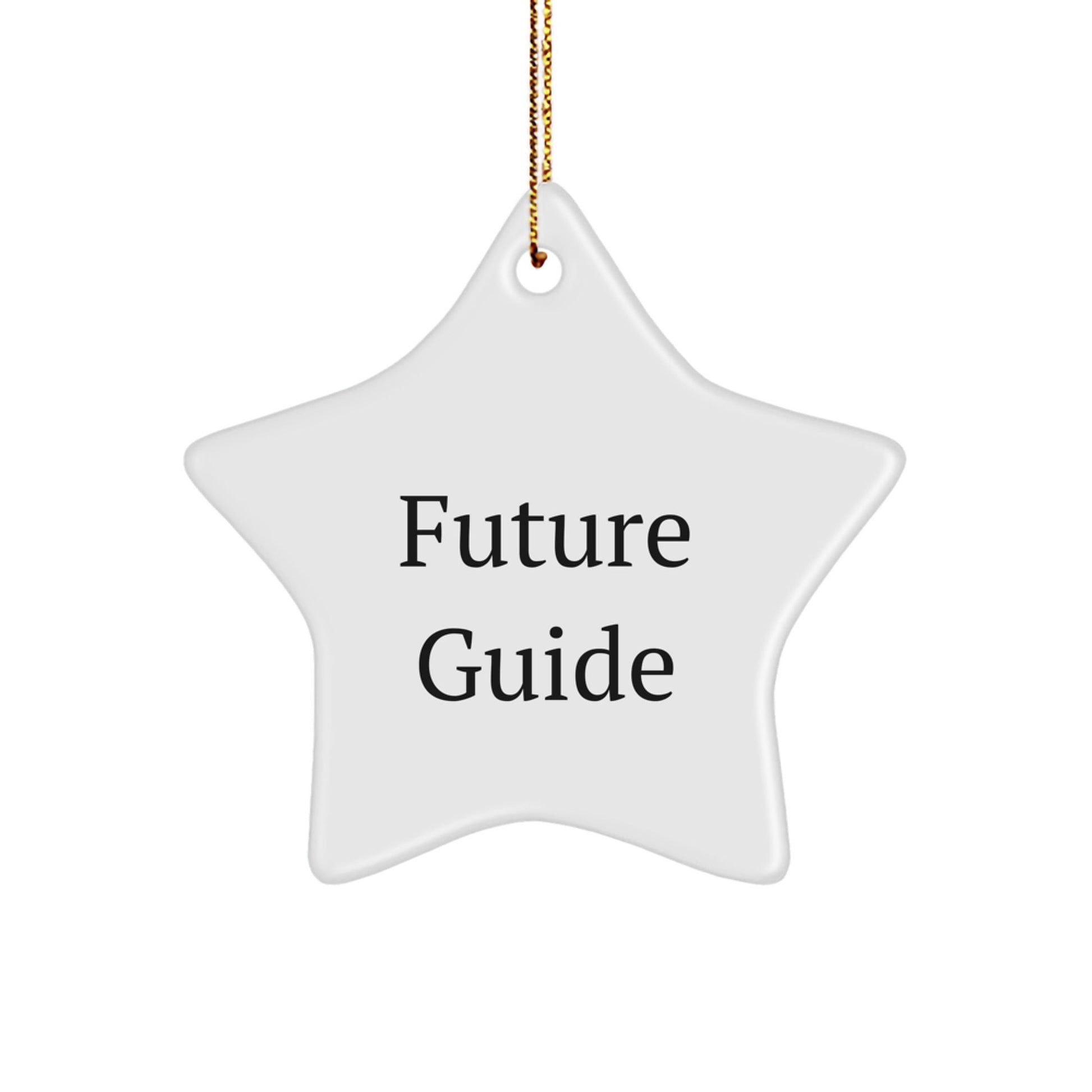 Gifts from Friends, Family, or Coworkers: Inspirational Star Ornament for Guide Enthusiasts, Christmas Unique Gifts, Future Guide, Star Ornament, and More - Victory Thru Vision