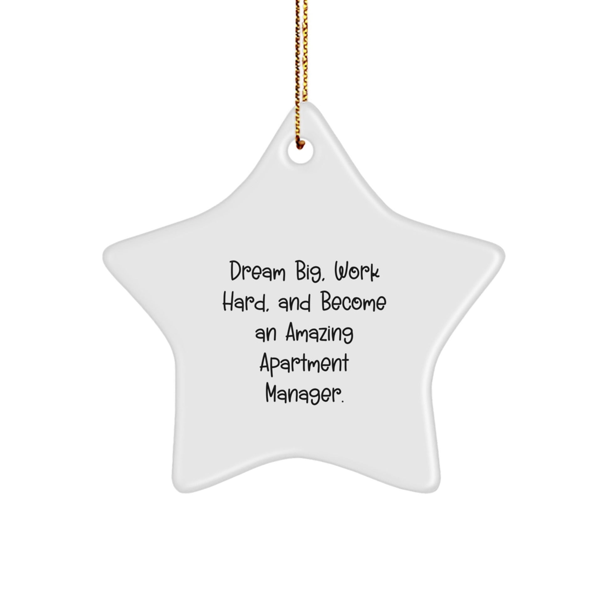 Gifts from Friends for Apartment Manager - Inspirational Star Ornament, 'Dream Big, Work Hard, And Become An Amazing Apartment Manager.' - Unique Christmas Unique Gifts - Victory Thru Vision
