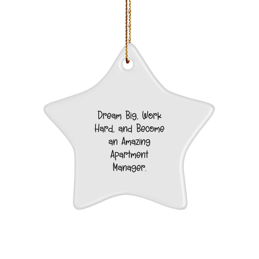 Gifts from Friends for Apartment Manager - Inspirational Star Ornament, 'Dream Big, Work Hard, And Become An Amazing Apartment Manager.' - Unique Christmas Unique Gifts - Victory Thru Vision