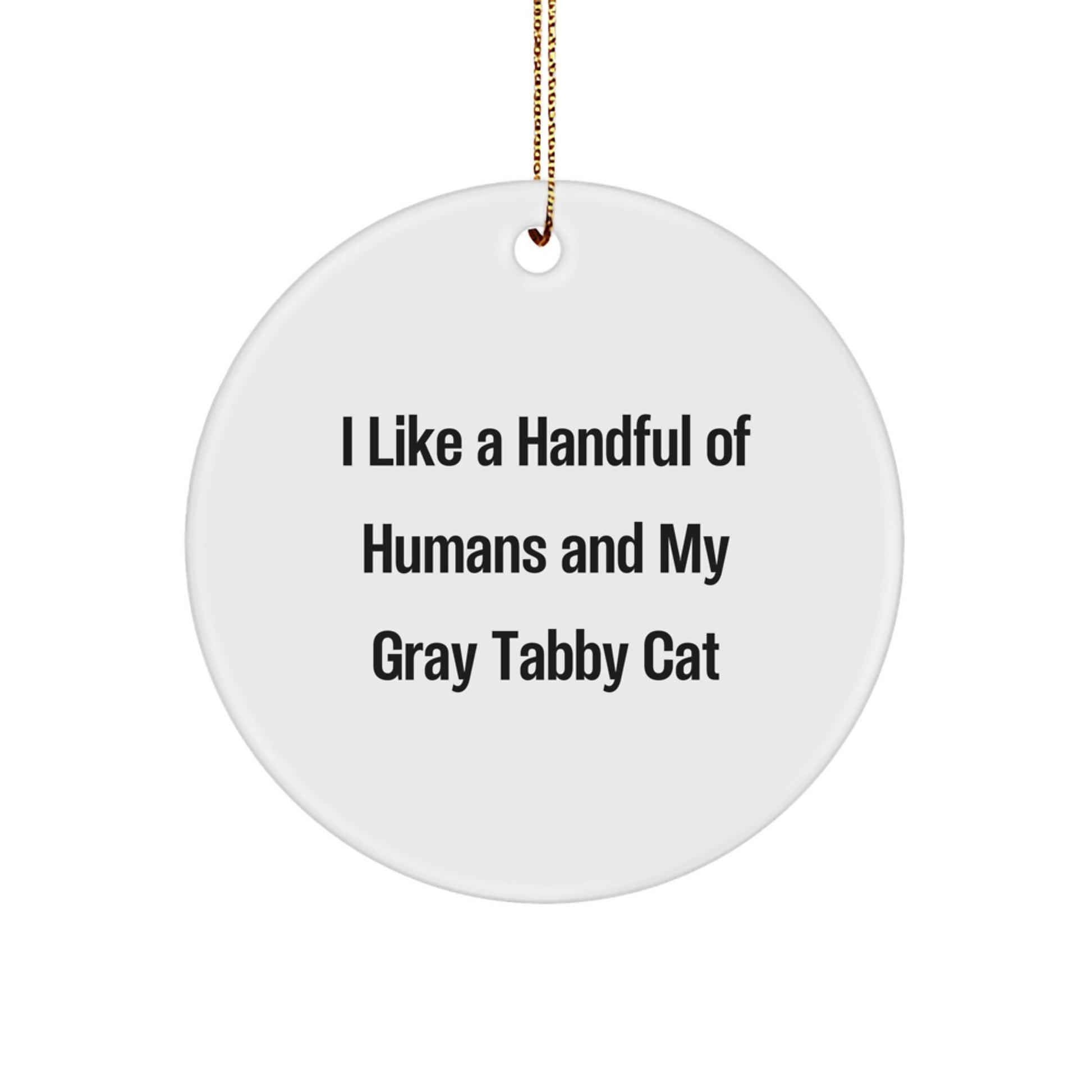 Gray Tabby Cat Gifts from Men, Funny Gifts for Gray Tabby Cat Lovers, Circle Ornament for Christmas - Victory Thru Vision