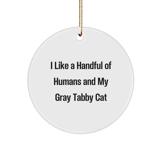 Gray Tabby Cat Gifts from Men, Funny Gifts for Gray Tabby Cat Lovers, Circle Ornament for Christmas - Victory Thru Vision
