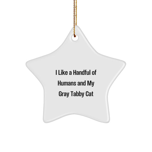 Gray Tabby Cat Lovers Unique Gifts for Men, Women, Friends, Family, and Coworkers - Funny Star Ornament from I Like A Handful Of Humans And My Gray Tabby Cat - Victory Thru Vision