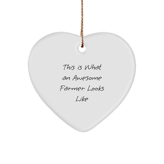 Funny Farmer Heart Ornament Gifts from Friends for Awesome Farmer Men - This Is What An Awesome Farmer Looks Like - Image 1