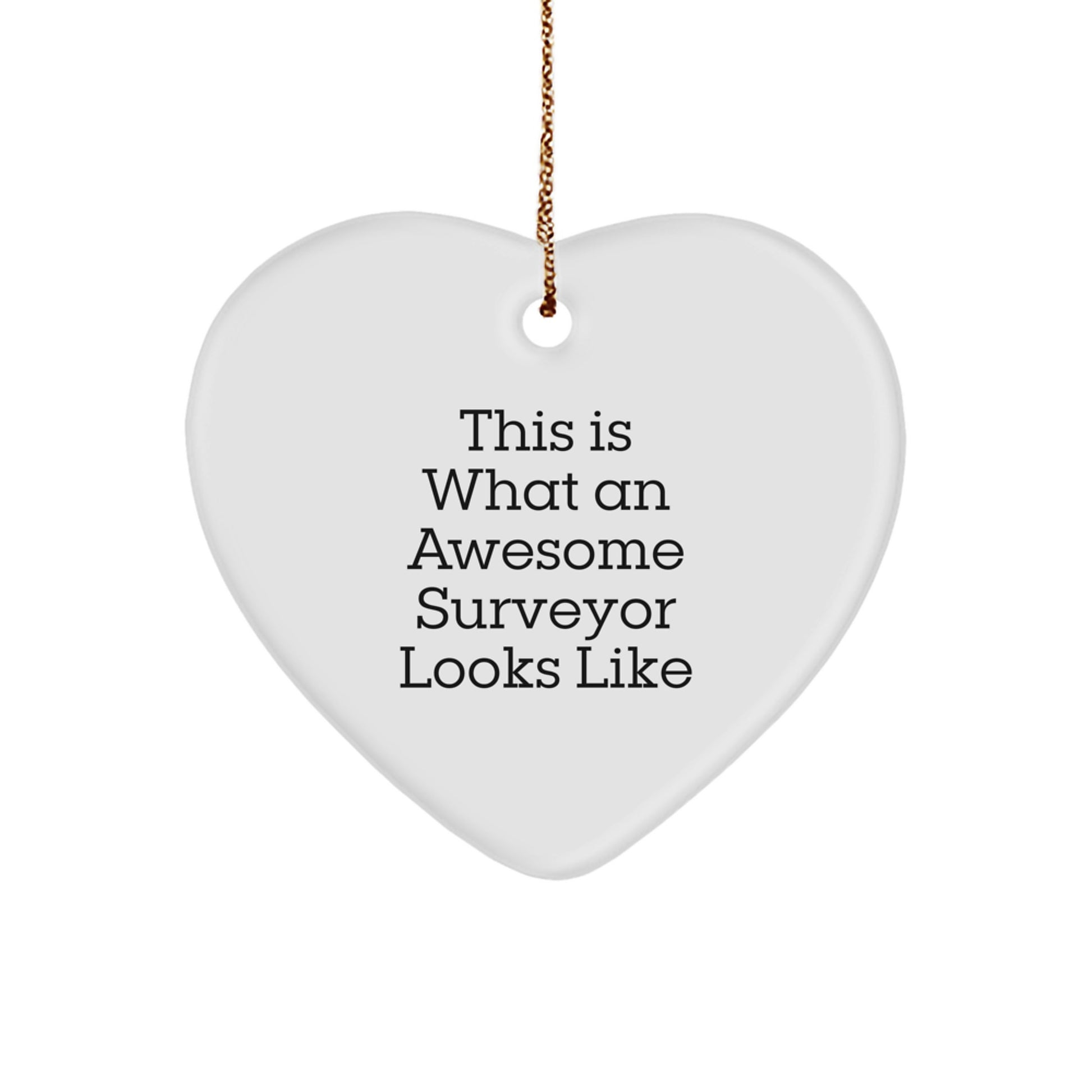 Funny Surveyor Gifts for Men, Surveyor Heart Ornament from Friends, This Is What An Awesome Surveyor Looks Like Christmas Unique Gifts - Image 1