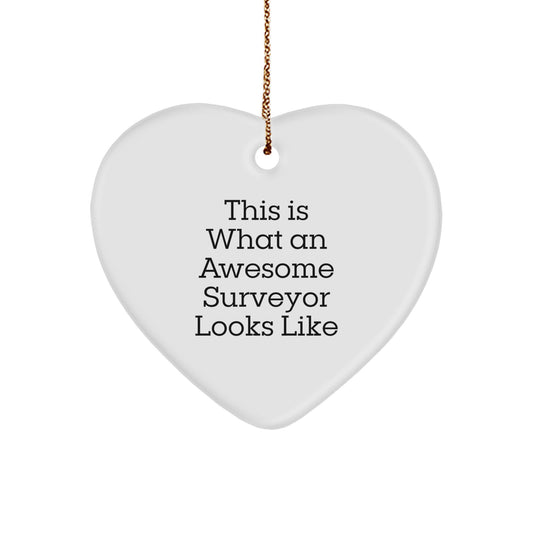 Funny Surveyor Gifts for Men, Surveyor Heart Ornament from Friends, This Is What An Awesome Surveyor Looks Like Christmas Unique Gifts - Image 1