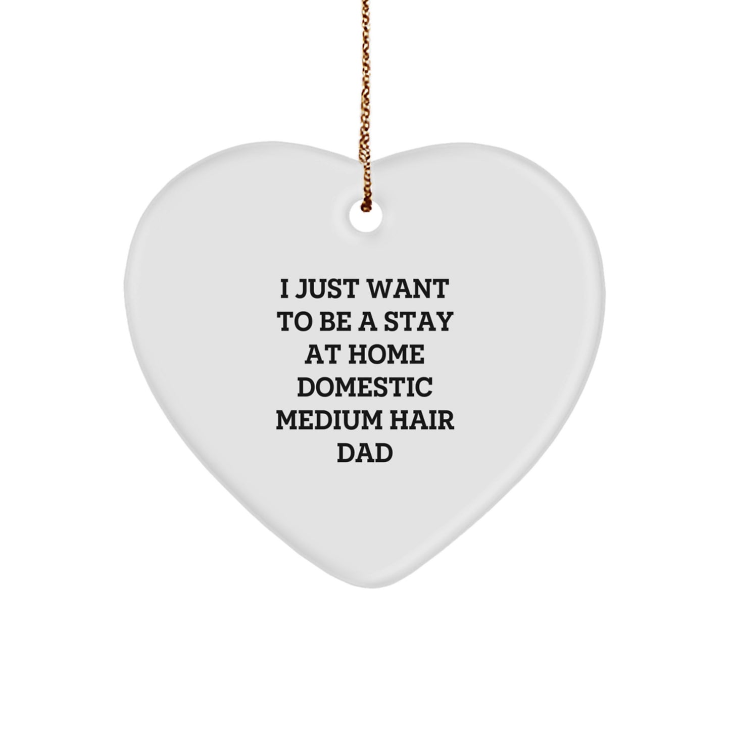Funny Domestic Medium Hair Heart Ornament Gifts for Men and Women Friends Family - 'I Just Want To Be A Stay At Home Dad' Christmas Unique Gifts from Men to Domestic Medium Hairy Men - Image 1