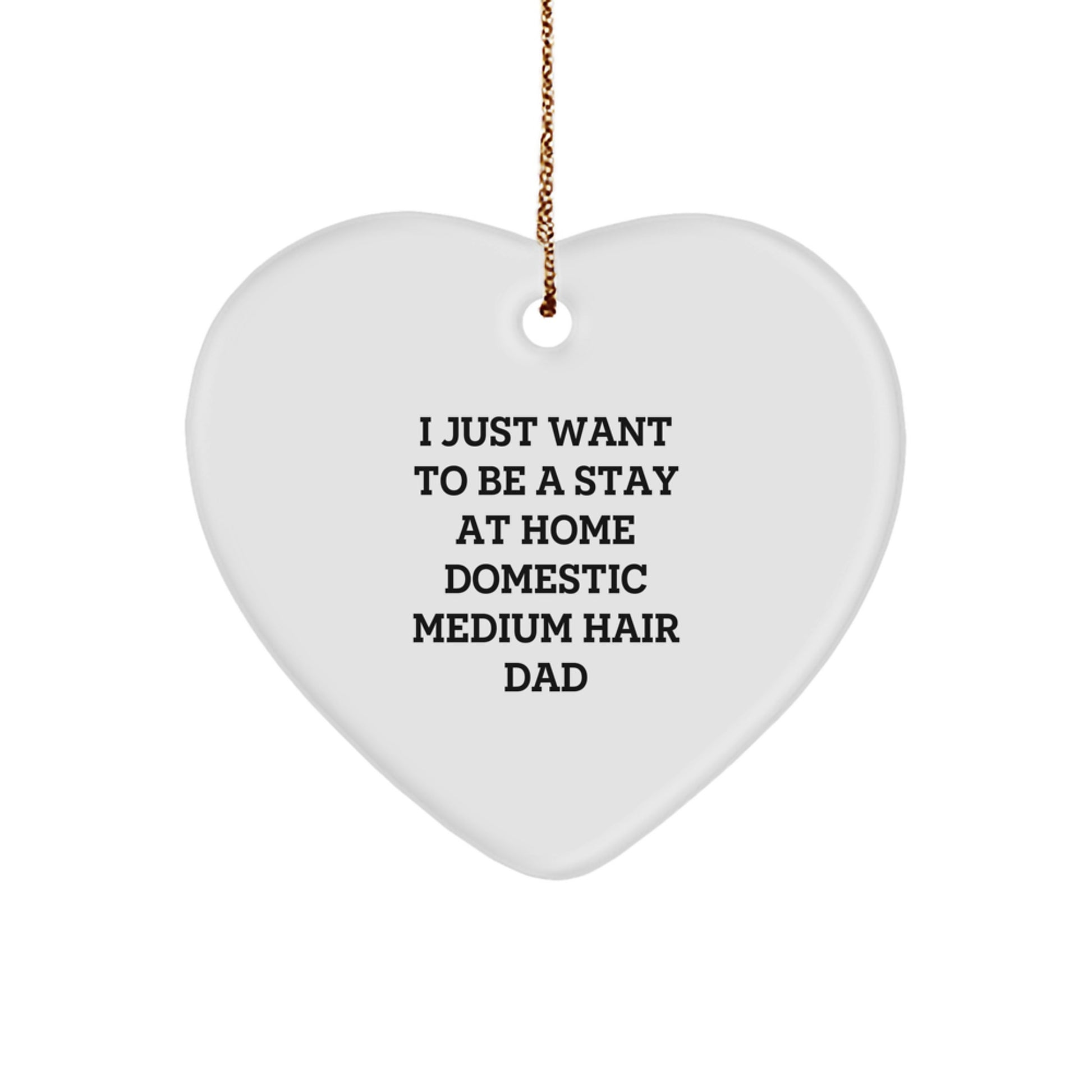 Funny Domestic Medium Hair Heart Ornament Gifts for Men and Women Friends Family - 'I Just Want To Be A Stay At Home Dad' Christmas Unique Gifts from Men to Domestic Medium Hairy Men - Image 1