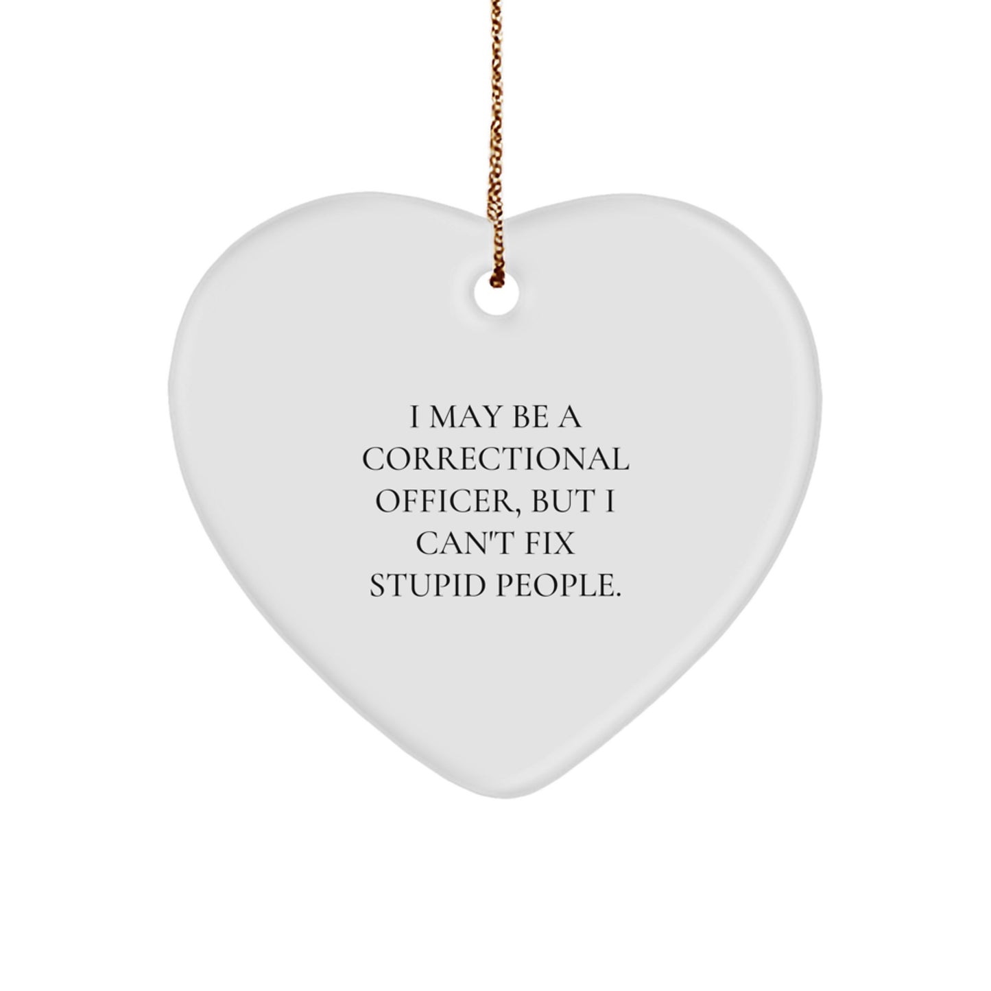 Funny Correctional Officer Gifts from Men to Women, Heart Ornament, Best Christmas Unique Gifts for Correctional Officer, 'I May Be A Correctional Officer, But I Cant Fix Stupid People' Decor - Image 1