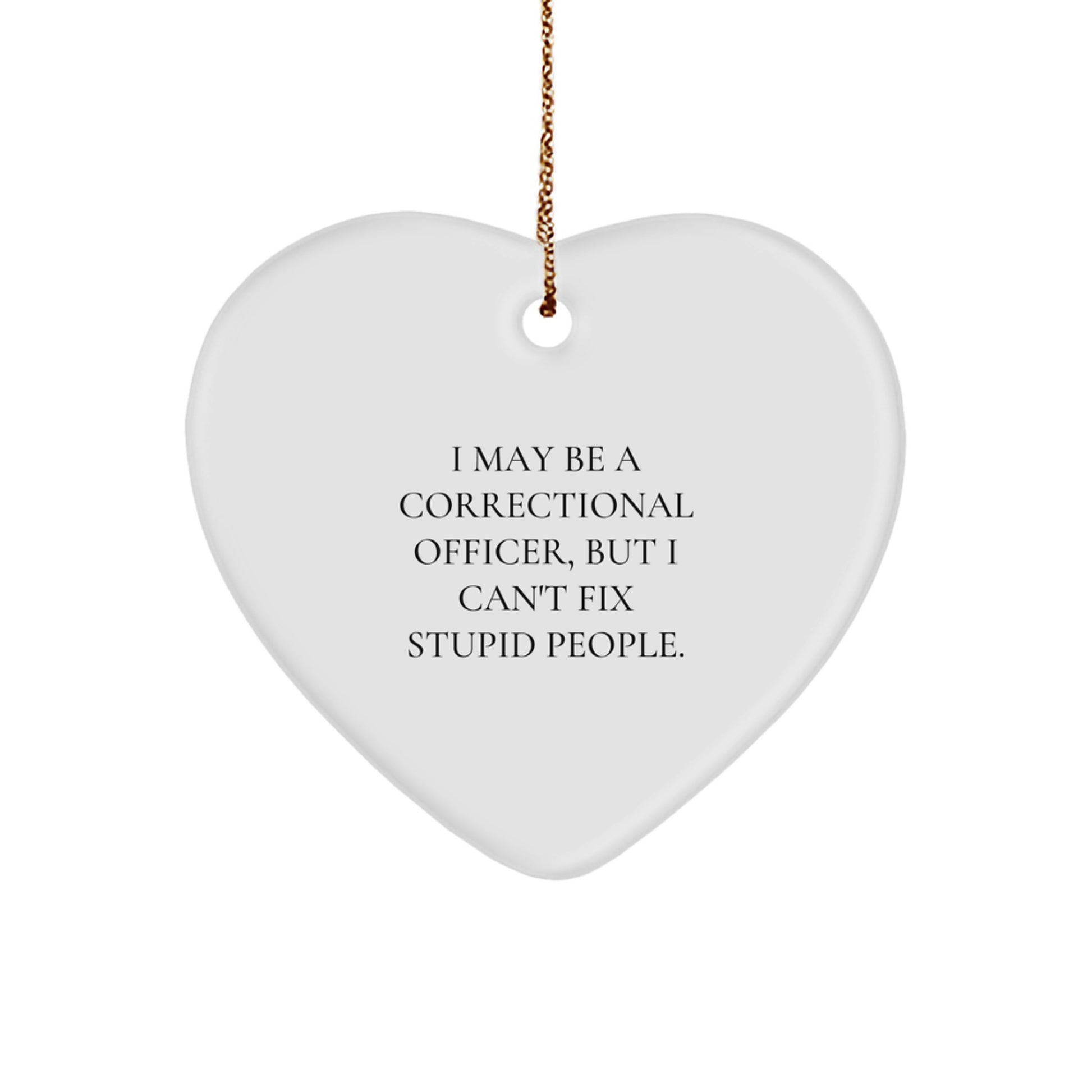 Funny Correctional Officer Gifts from Men to Women, Heart Ornament, Best Christmas Unique Gifts for Correctional Officer, 'I May Be A Correctional Officer, But I Cant Fix Stupid People' Decor - Image 1