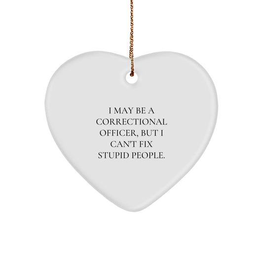 Funny Correctional Officer Gifts from Men to Women, Heart Ornament, Best Christmas Unique Gifts for Correctional Officer, 'I May Be A Correctional Officer, But I Cant Fix Stupid People' Decor - Image 1