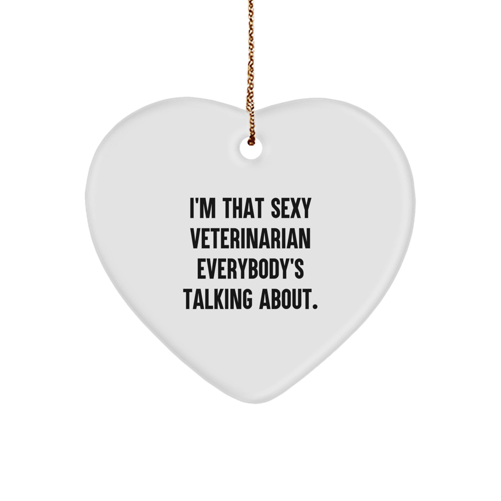 Funny Veterinarian Gifts from Men, Unique Heart Ornament for Veterinarian Women, Christmas Unique Gifts - Image 1