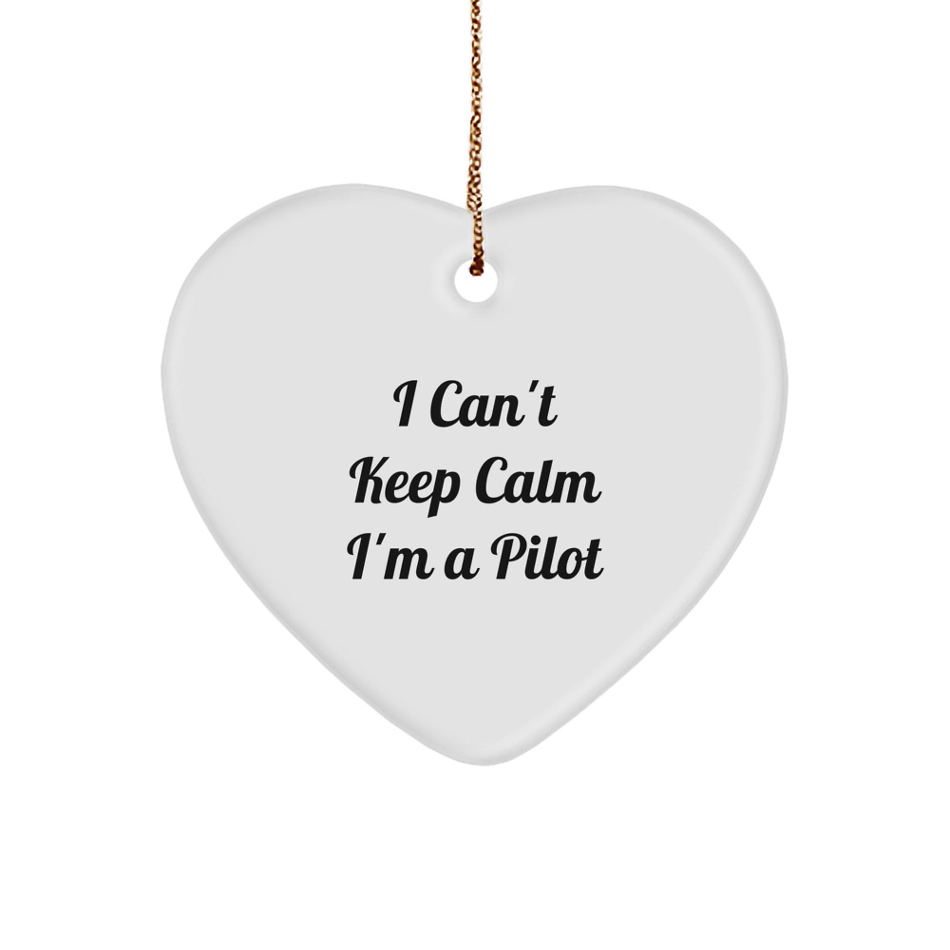 Funny Pilot Heart Ornament Gifts from Family to Pilot Men Christmas Unique Gifts - Image 1